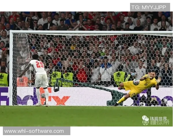 多纳鲁马：从青涩门将到世界之巅的传奇之路与荣耀时刻