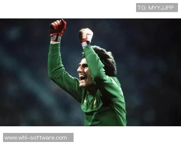 本泽马：从天才少年到足坛巨星的辉煌旅程与传奇故事